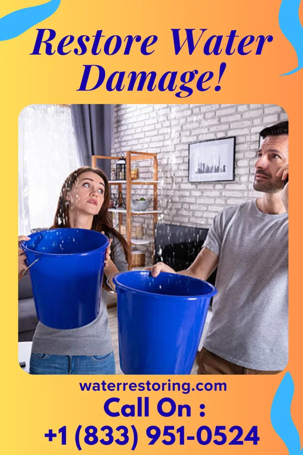 water restoration Empire Recovery Masters Brandywine
